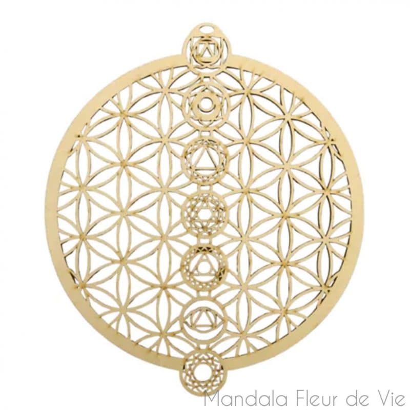 Fleur de Vie 7 Chakras mandala fleur de vie